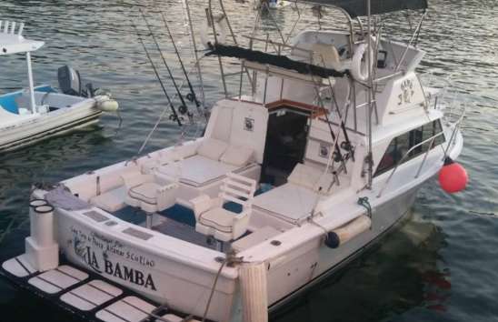 Renta de Yates Económicos en Ixtapa Zihuatanejo, Yate La Bamba de 30 Pies en Ixtapa Zihuatanejo. Yates para pesca en Ixtapa Zihuatanejo. Tour en Yate en Ixtapa Zihuatanejo. Recorridos en Yate en Ixtapa Zihuatanejo. Paseo en Yate en Ixtapa Zihuatanejo