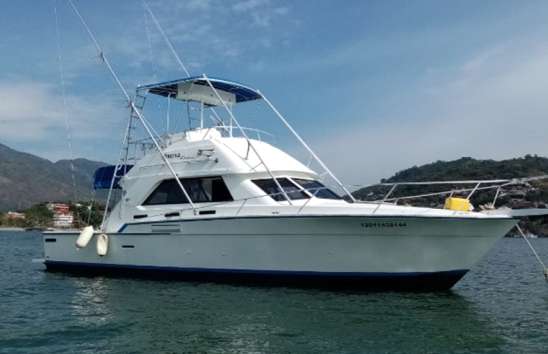 Renta de Yates en Ixtapa Zihuatanejo, Yate Bertram 42 Pies en Ixtapa Zihuatanejo. Yates para pesca en Ixtapa Zihuatanejo. Tour en Yate en Ixtapa Zihuatanejo. Recorridos en Yate en Ixtapa Zihuatanejo. Paseo en Yate en Ixtapa Zihuatanejo